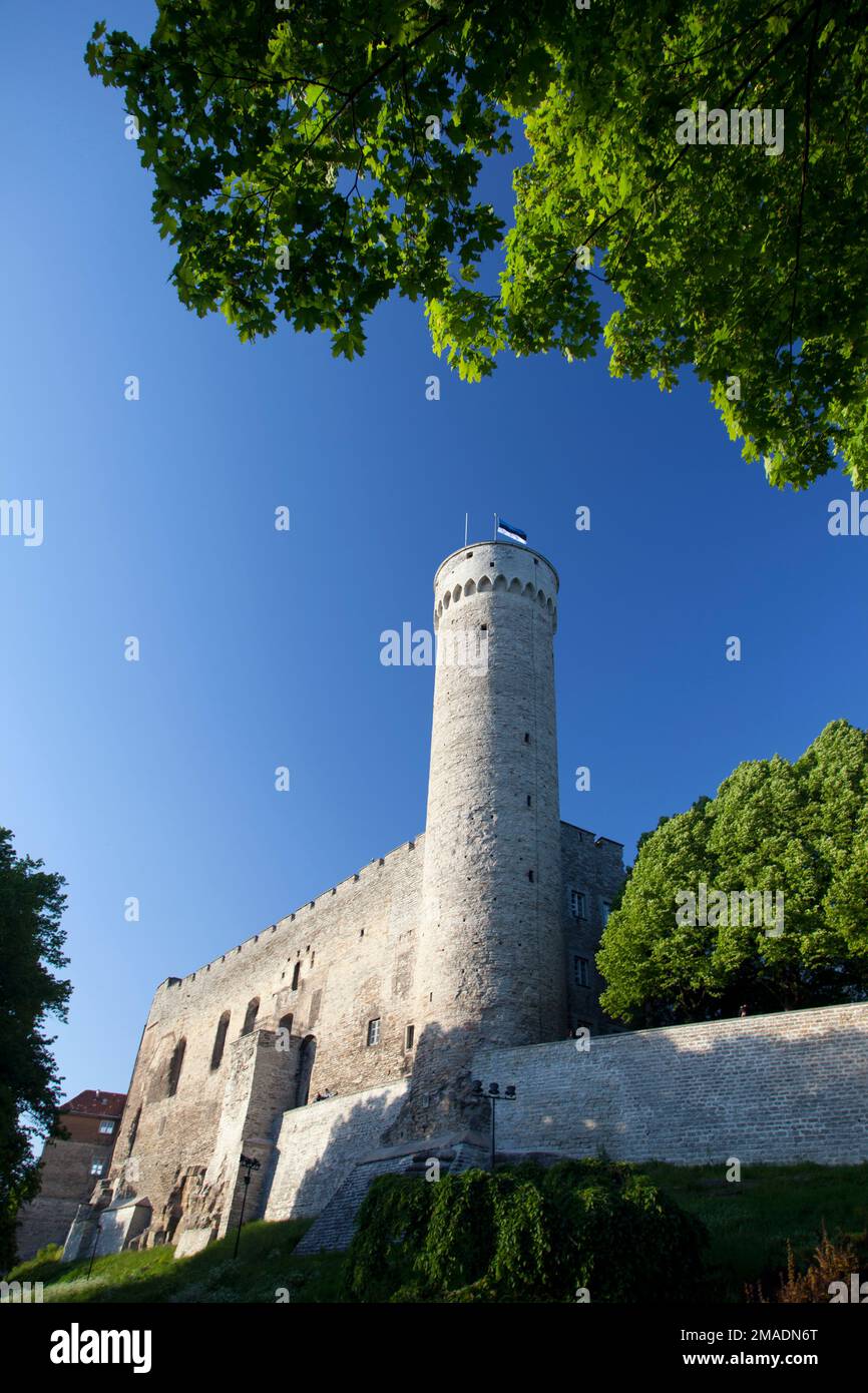 Estland, Tallinn, der Turm von Pikk Hermann und Schloss Toompea. Stockfoto