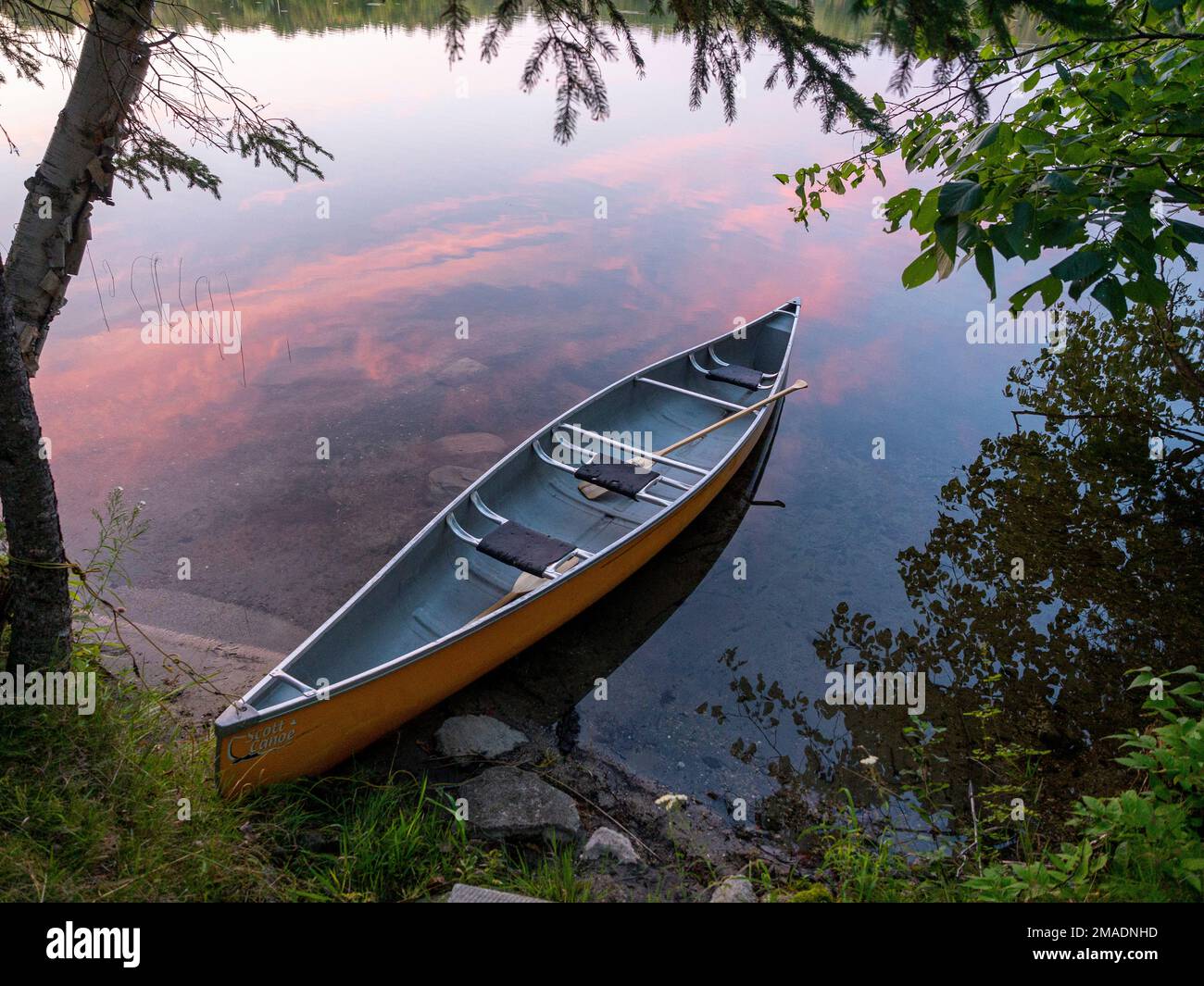 Gelbes Kanu an der Küste: Ein gelbes Glasfaserkanu mit zwei Paddeln, die an einen Baum gebunden sind, während das Rot eines Sonnenuntergangs im ruhigen Wasser eines westlichen Quebec-Sees reflektiert. Stockfoto