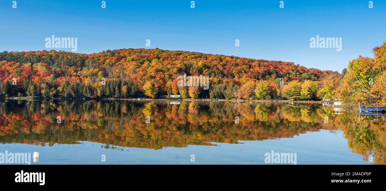 Lac Barnes im Herbst: Ein ruhiger See in Quebecs Region Pontiac spiegelt die Herbstfarben der Blätter im umliegenden Wald perfekt wider. Panorama. Stockfoto