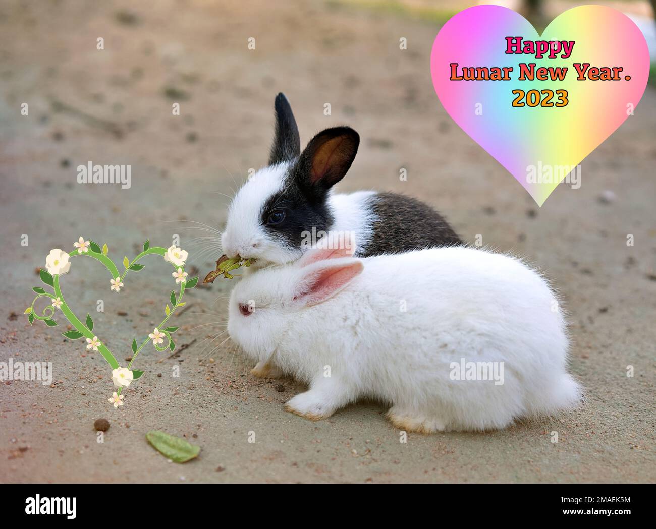 Zwei niedliche Hasen teilen sich eine Mahlzeit, mit der Begrüßung zum „Happy Lunar New Year“. Stockfoto