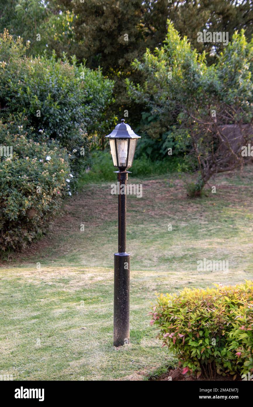 Einzelne elektrische Lampenpfosten in einem offenen Bereich in einem Park Stockfoto