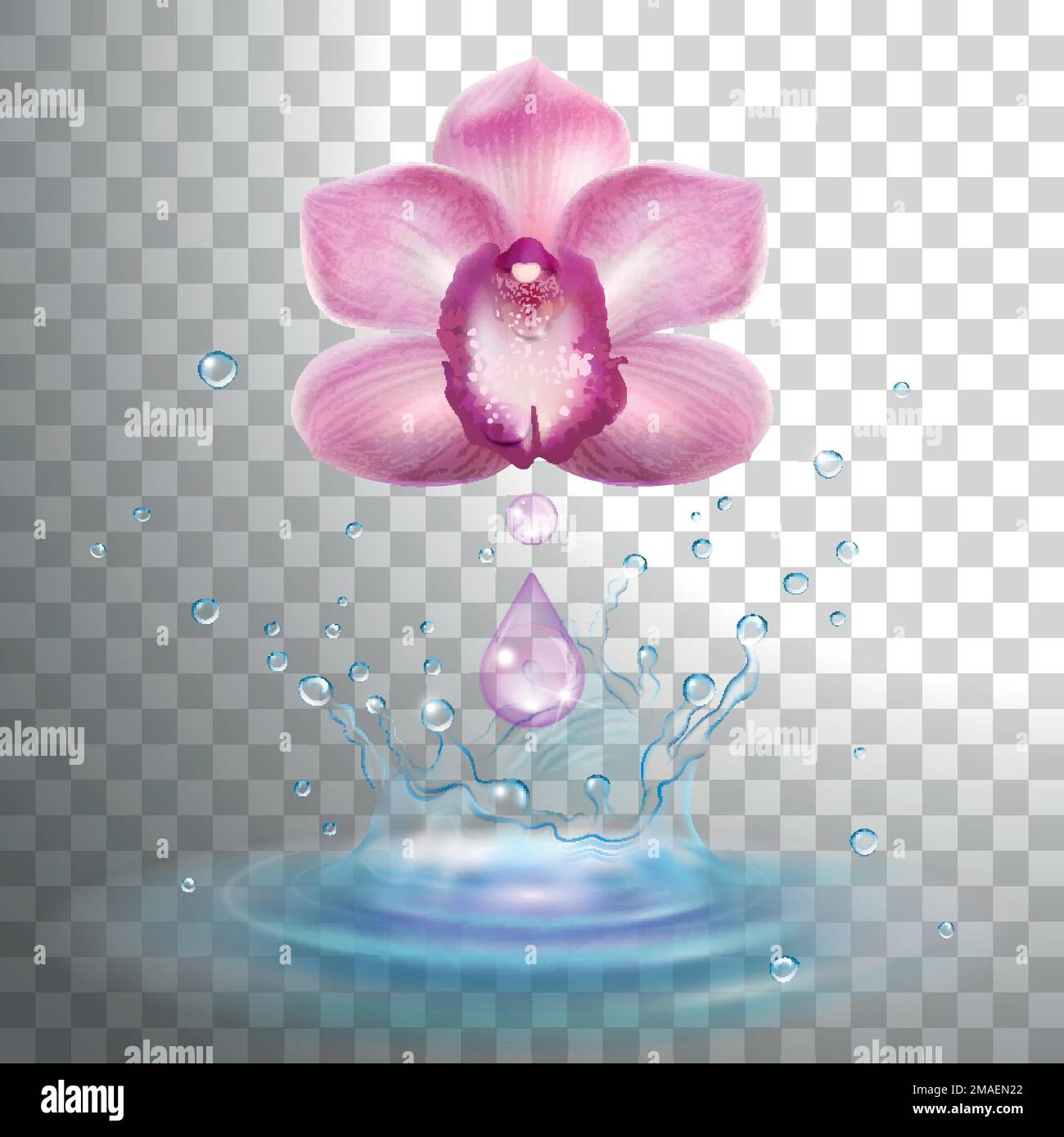 Orchideenblüte mit einem Tropfen aromatischem Öl und einem Spritzer erfrischendem Wasser auf einem transparenten Hintergrund Stock Vektor