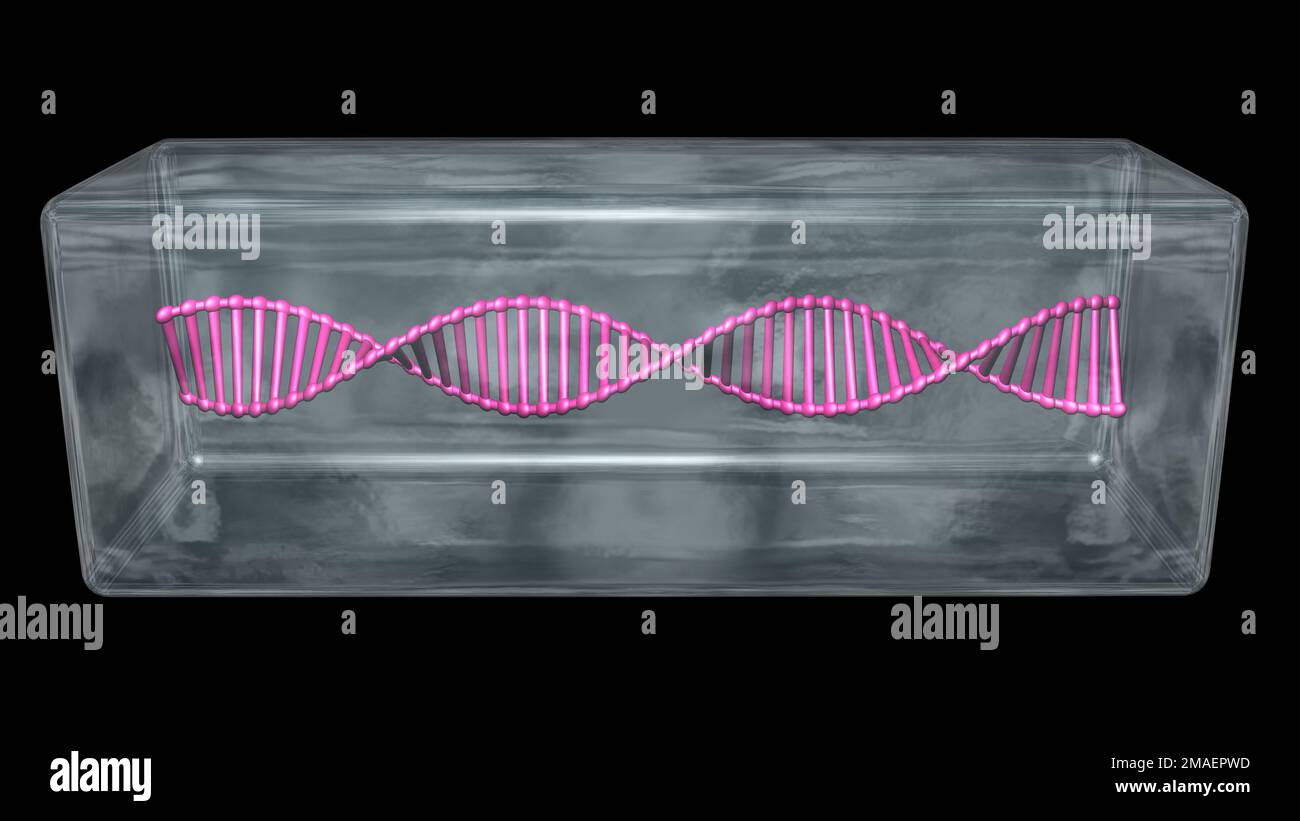 DNA in Eis konserviert. DNA-Molekülstrang in transparentem Glas, Eisbehälter. DNA-Speicherung. Gefrorene DNA. 3D-Darstellung rendern. Stockfoto