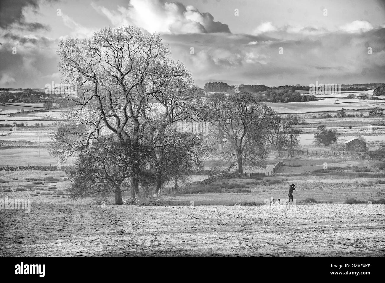 Schneeszene in Schwarz und Weiß, einschließlich Hundegang. Mit Blick auf den Forest of Bowland von der Back Lane, Long Preston Stockfoto