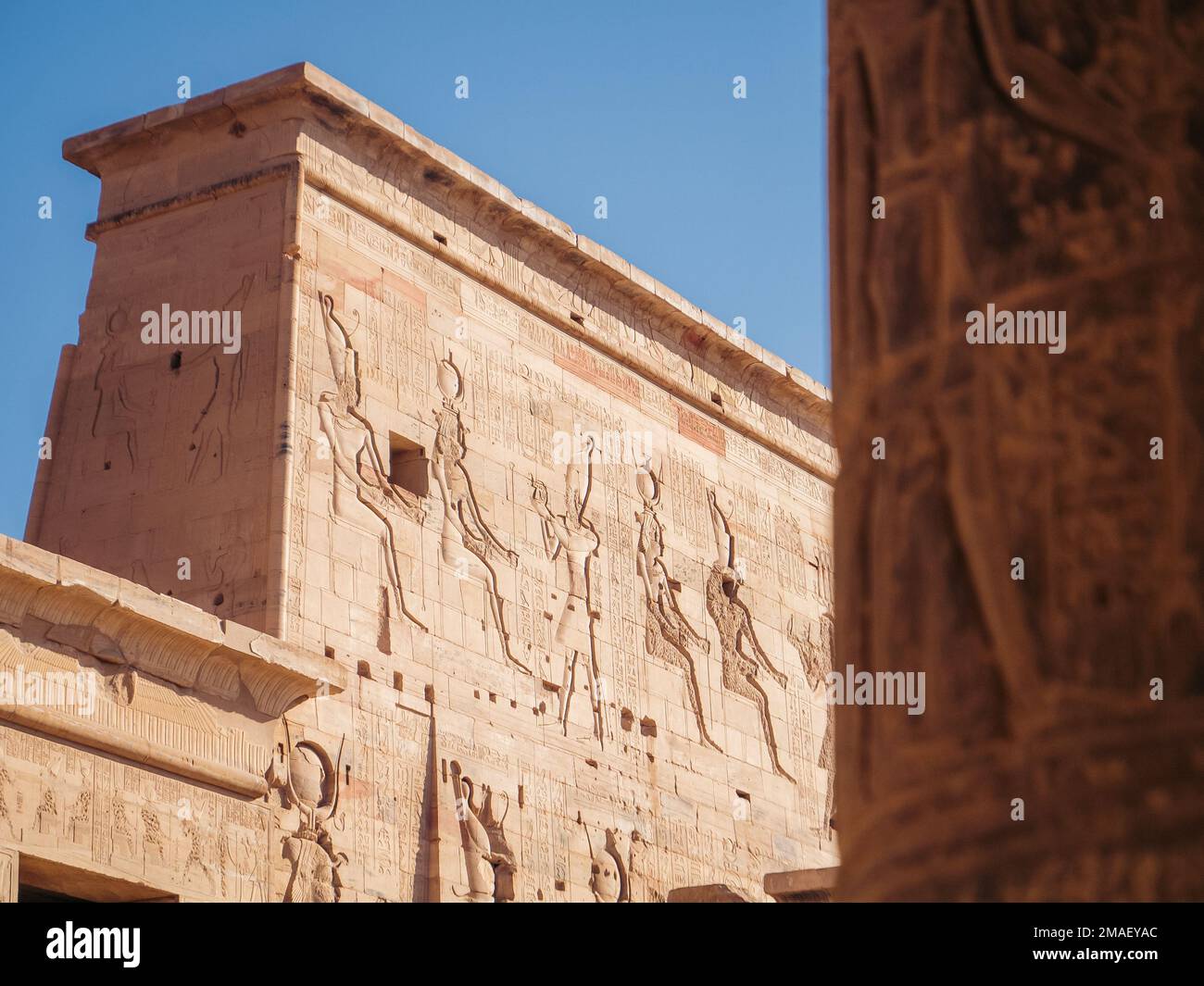 Heiroglyphen an den Wänden des Tempels von Philae, Assuan, Ägypten. Stockfoto