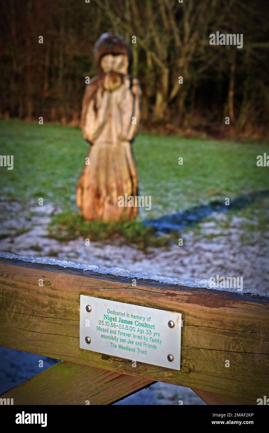 Hölzerne Statue, Grappenhall Woods, Broad Lane, Warrington, Cheshire, England, Großbritannien, WA4 Stockfoto