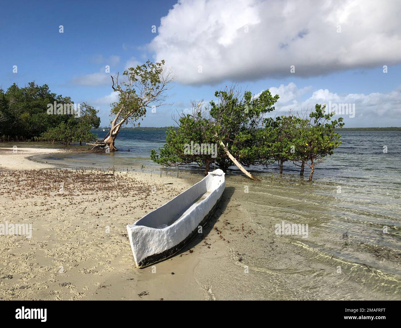 Traditionelles Holzkanu ruht neben Mangroven im flachen Wasser an der kenianischen Küste. Stockfoto