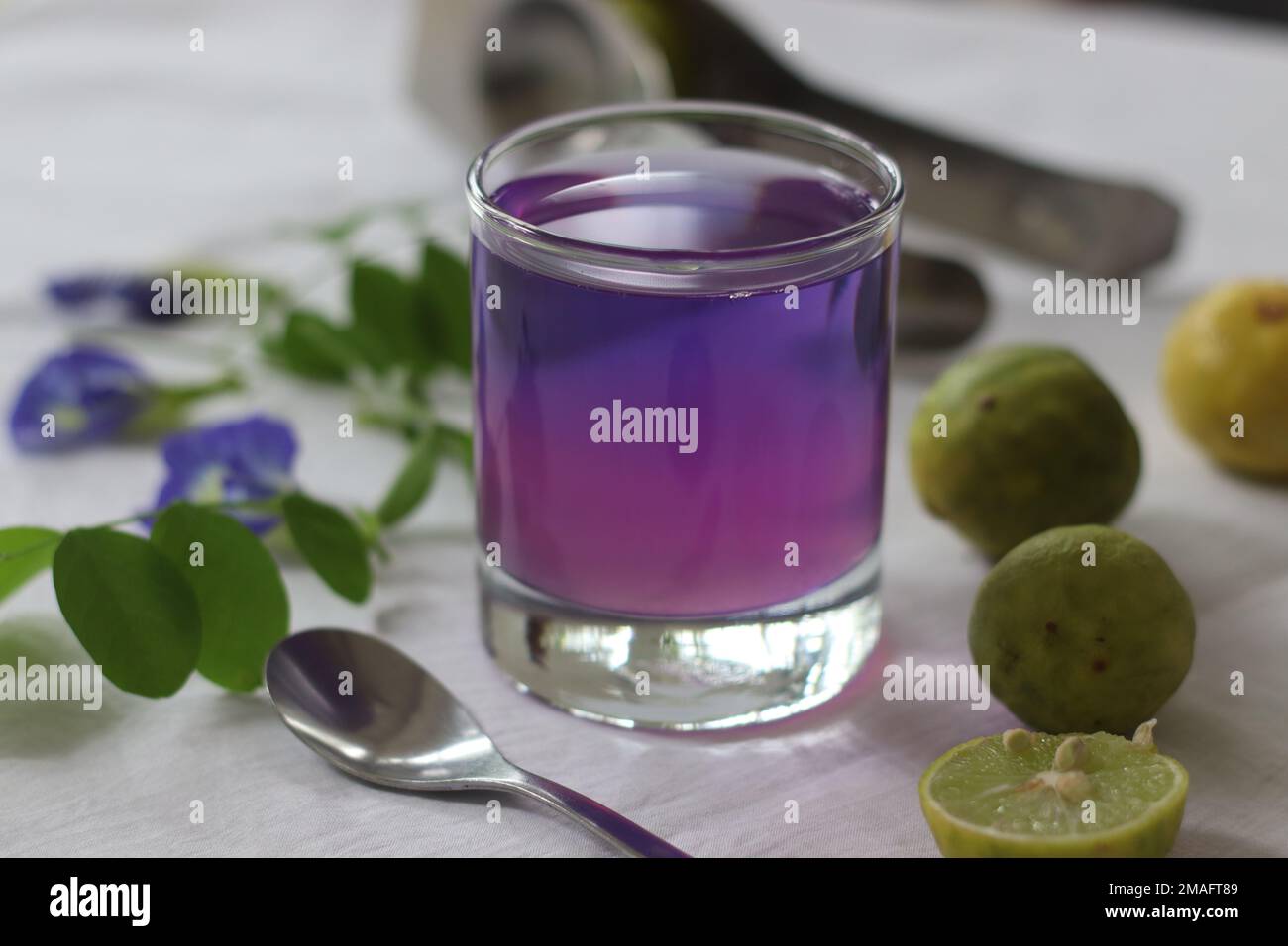 Rosafarbener Schmetterlingserbsen-Blütentee. Blau gefärbter Schmetterlingserbsen-Blümchentee ändert seine Farbe zu Rosa, wenn Zitronensaft hinzugefügt wird. Die saure Kalkveränderung Stockfoto