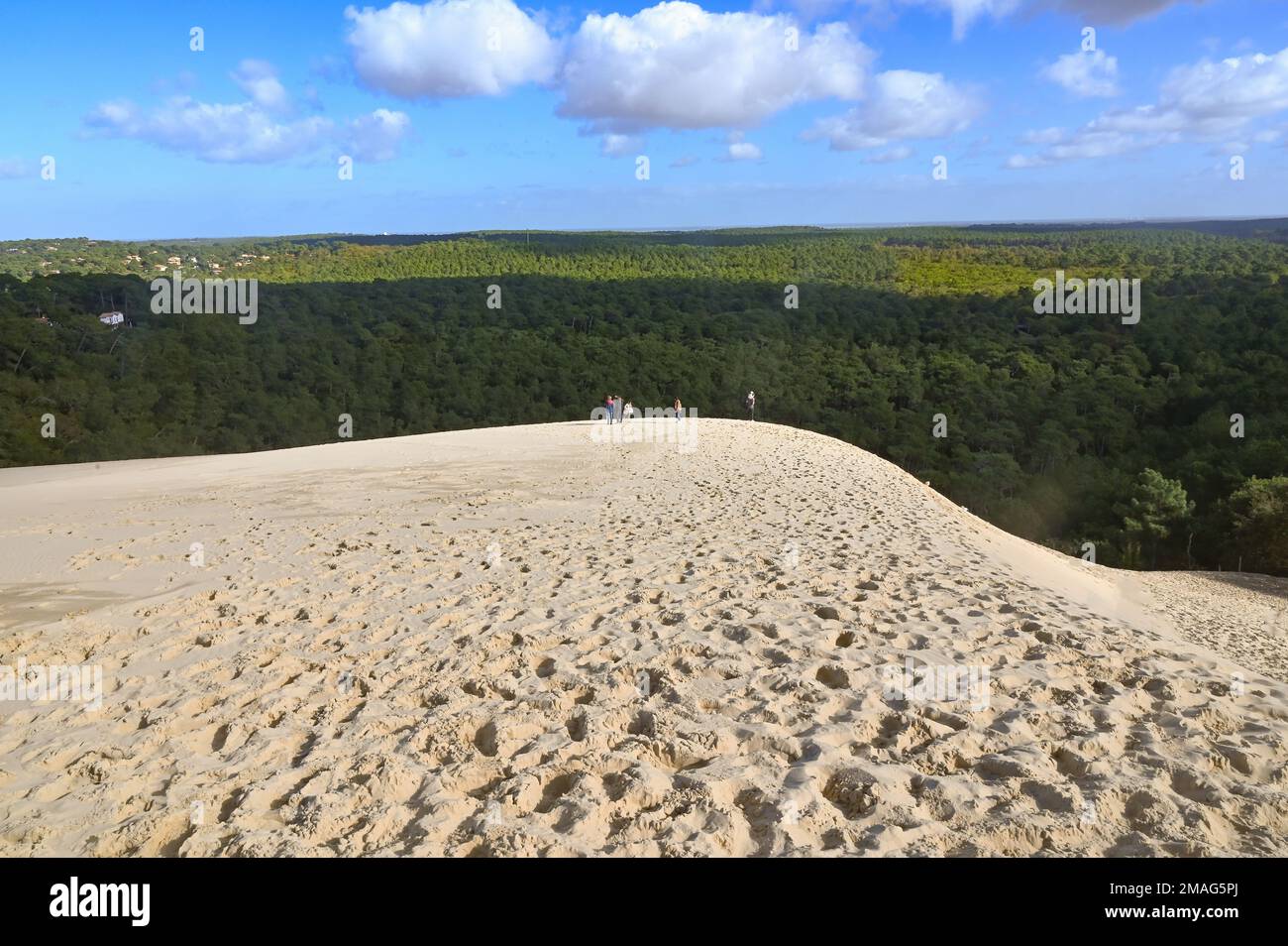 Die Düne du Pilat (auch: pyla) ist Europas höchste Sanddüne und ein großartiger Ort de France Stockfoto