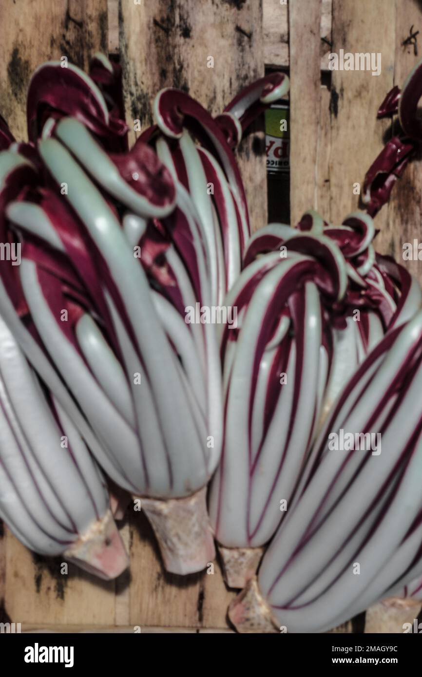 Radicchio Rialto Markt, Venedig, Italien Stockfoto