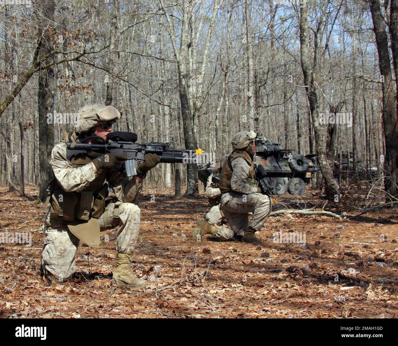 070309-M-3095K-009. Basis: Marinestützpunkt, Camp Lejeune Bundesstaat: North Carolina (NC) Land: United States of America (USA) Szene Hauptkommando gezeigt: BLT 3/8 Stockfoto