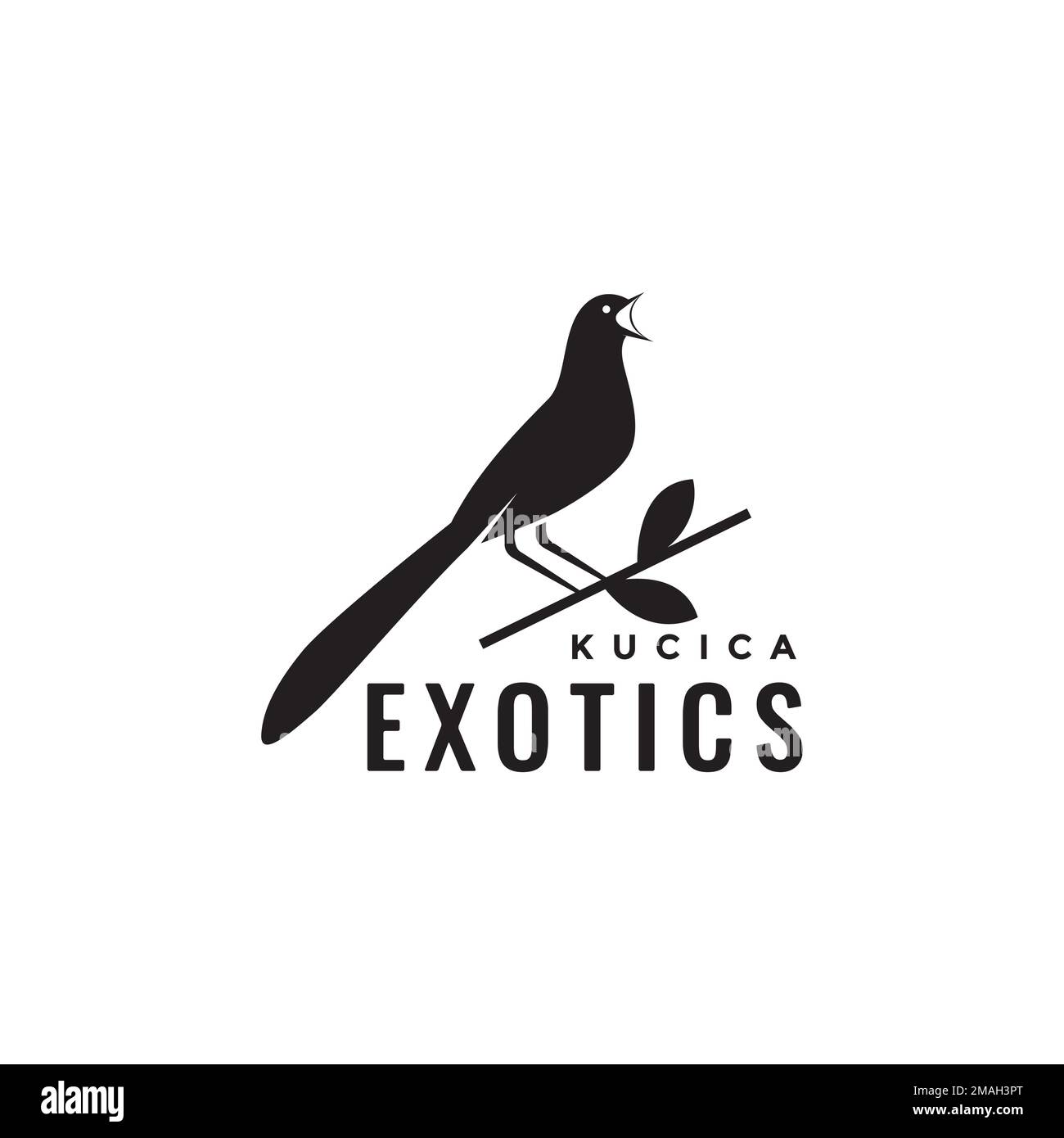 Exotische Vogelmagpie Rotkehlchen Sänger in einem Ast Wald isolierte Vorlage für Logo-Symbol-Illustration Stock Vektor