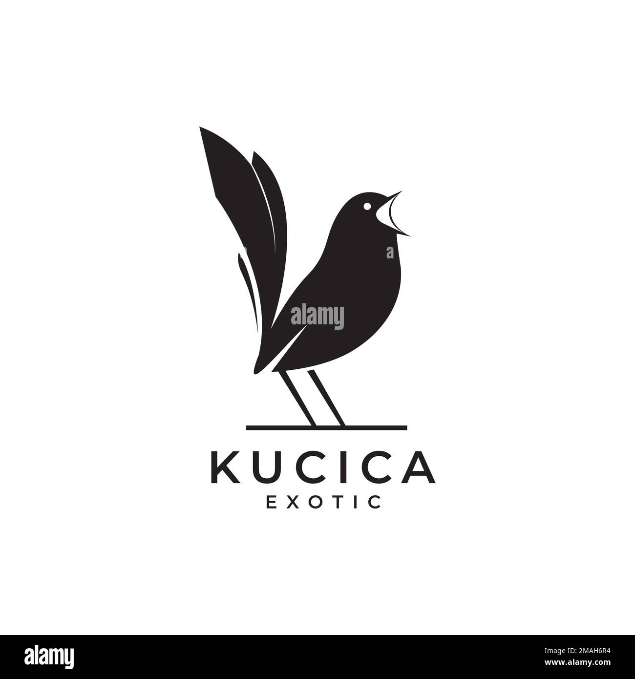 Exotische Vogelmagpie Rotkehlchen Sänger Loud Forest Isolated Logo Logo Illustration Template Stock Vektor