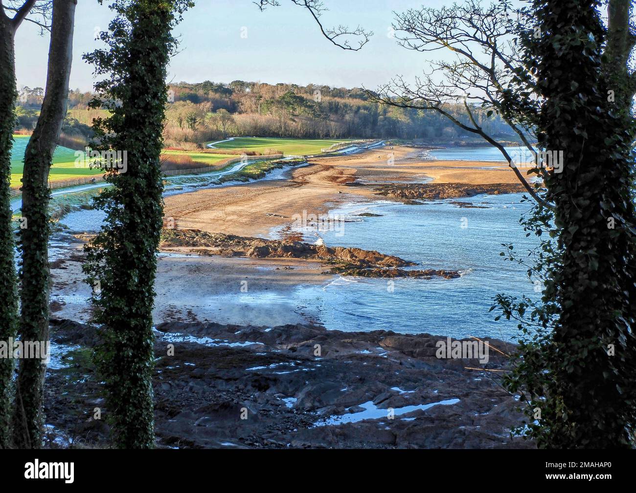 Crawfordsburn Beach, Nordirland Stockfoto