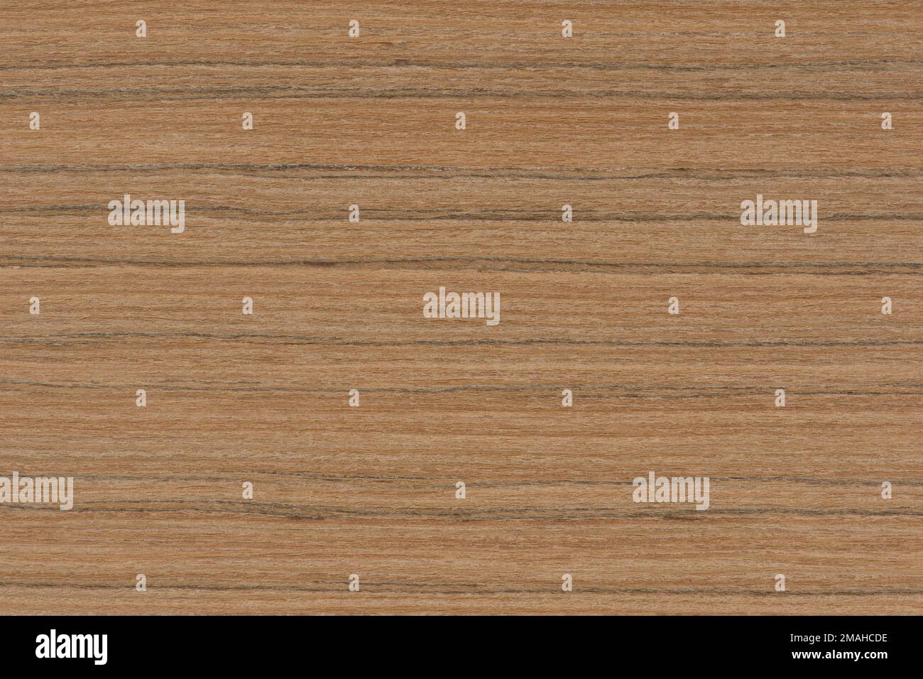 Zebrabaum. Konsistenz von braunem Holz mit horizontalen schwarzen Streifen. Afrikanische Zebrano-Holztextur auf Makro. Foto in sehr hoher Auflösung. Stockfoto