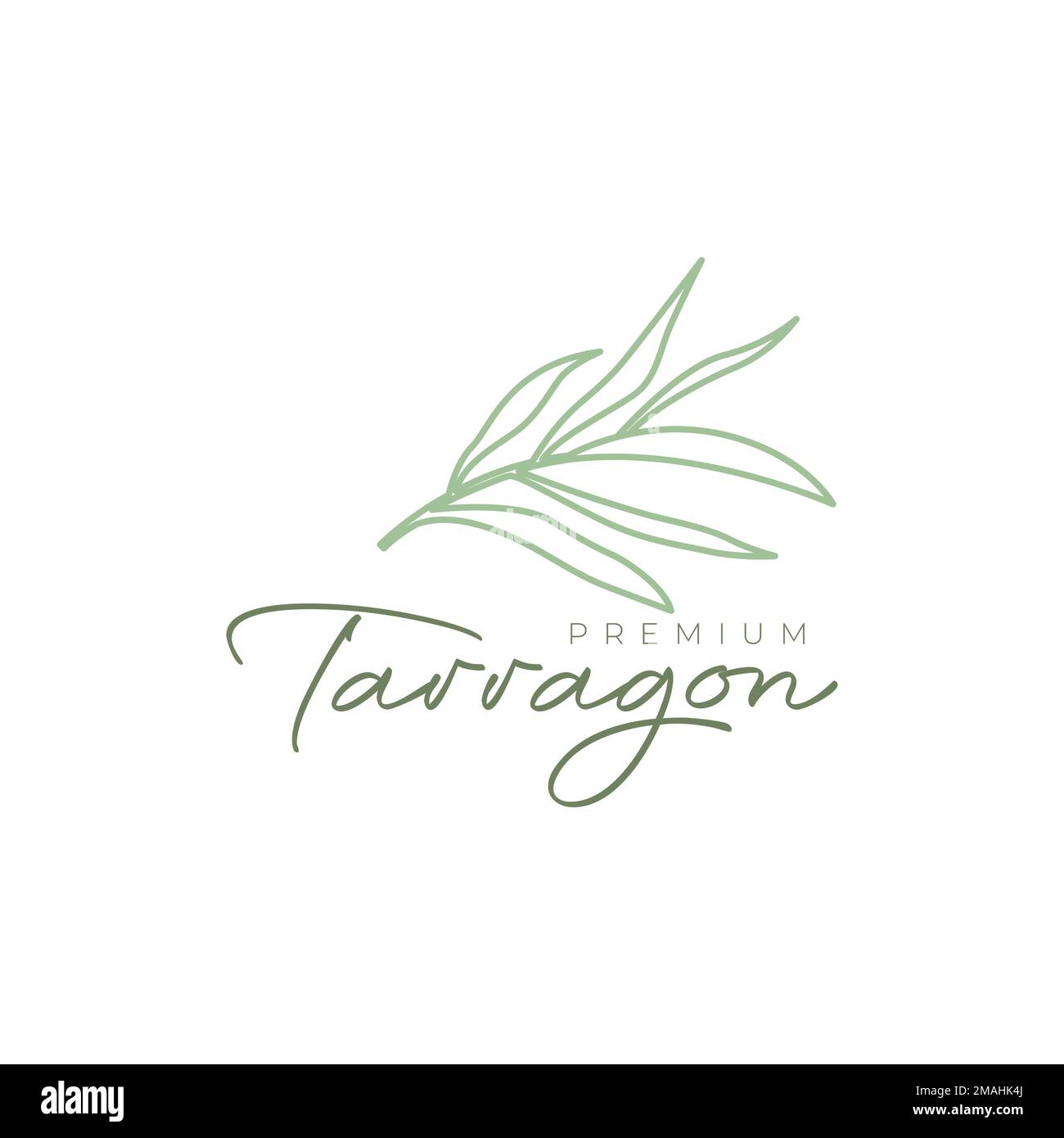 Estragon hinterlässt ein würziges Blattaroma Gitter Küche Linien Logo Design Vektorsymbol Illustration Vorlage Stock Vektor