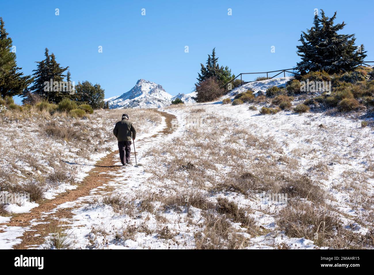 Hombre Mayor con bastón caminando por un camino de Montaña Stockfoto