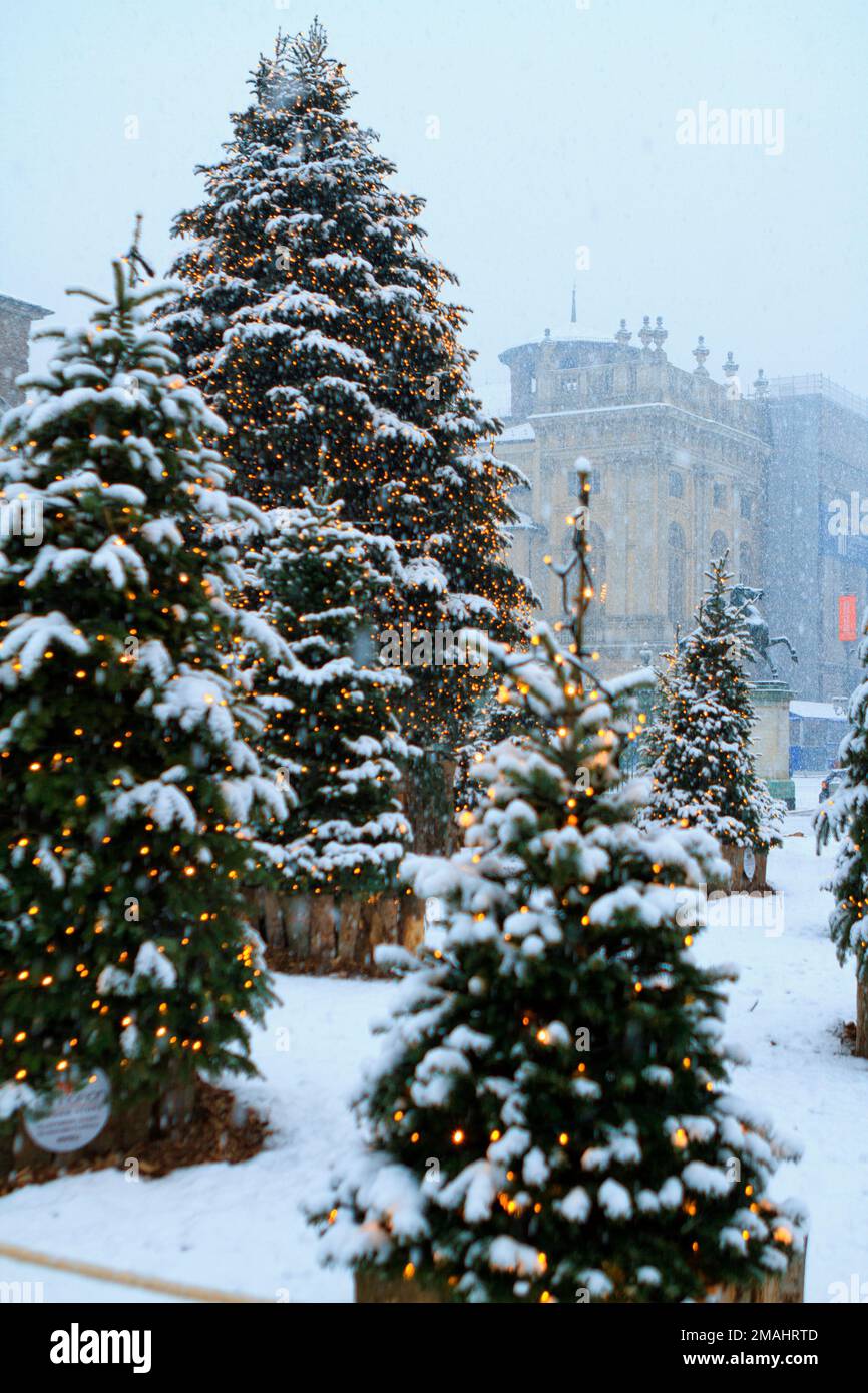 Weihnachtsbäume mit Schnee im Stadtzentrum von Turin. Piazza Castello, Turin, Italien. Stockfoto