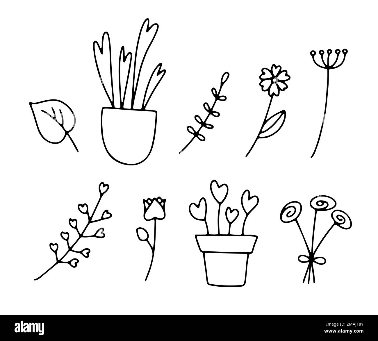 Pudelpflanze Set. Handgezeichnete Blätter, saftig, Blumen mit Herzen. Umreißen Sie das Heimkraut in Topf, Blumenstrauß, Zweig auf weißem Hintergrund. Vektorliebe Illustrat Stock Vektor