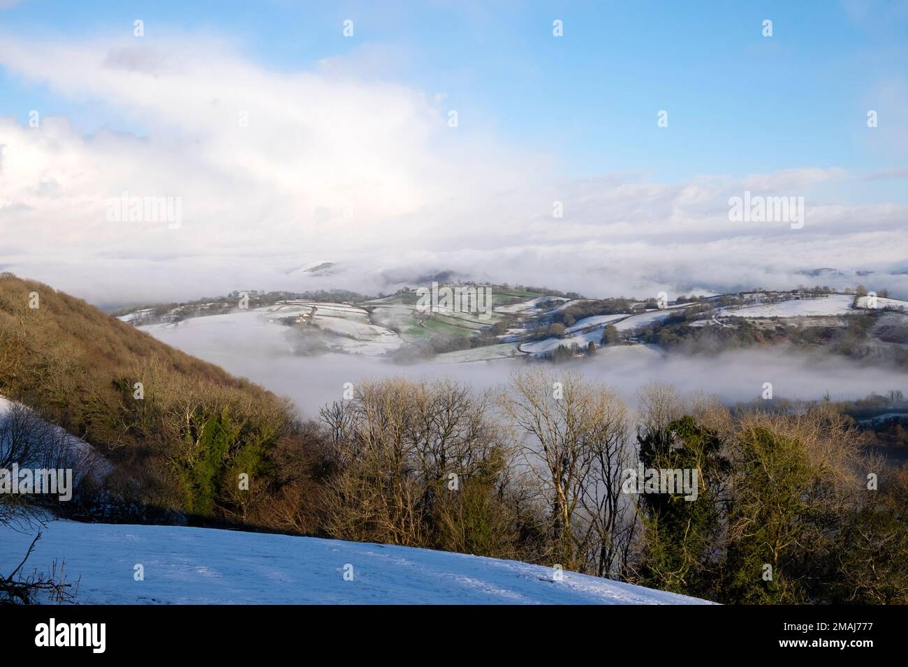 Hügelige Winterlandschaft und Wälder mit schneebedeckten Farmen und Feldmustern im Nebel bei Llandovery Carmarthenshire Wales KATHY DEWITT Stockfoto