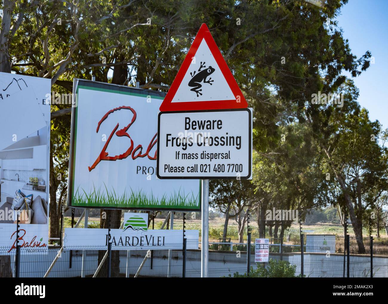 Komisches Straßenschild „Beachten Sie Frogs Crossing“. Westkap, Südafrika. Stockfoto