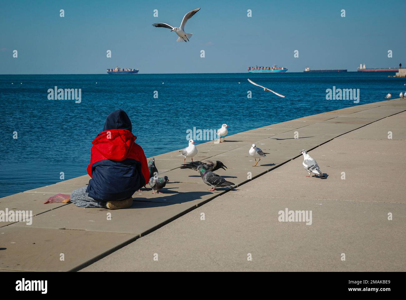 Leben auf See Stockfoto