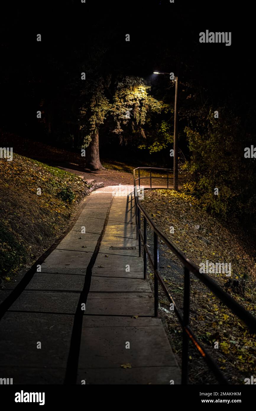 Fußweg in einem Park bei Nacht Stockfoto