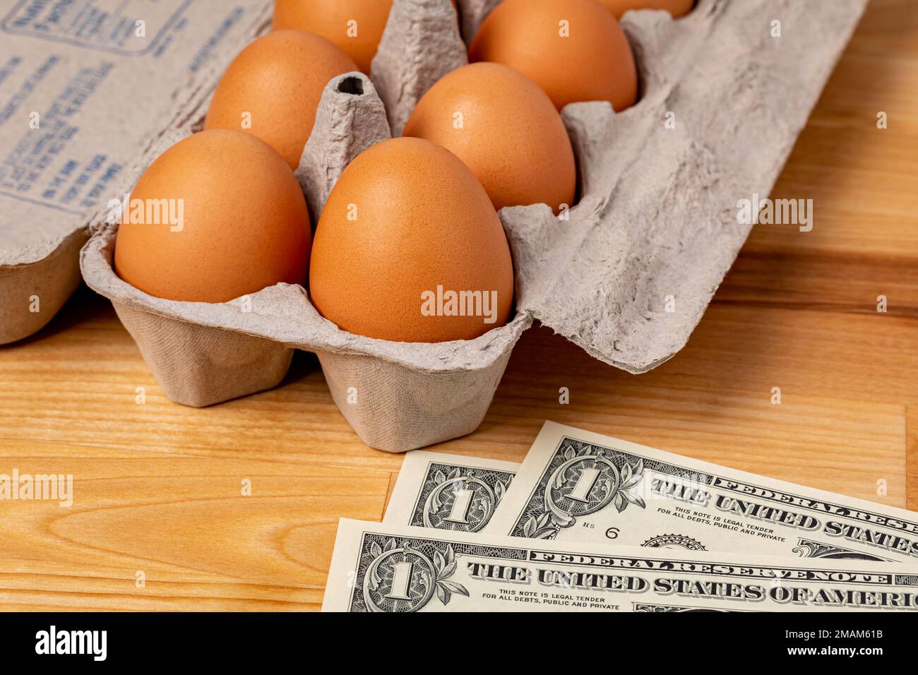 Frische braune Hühnereier in einem Karton mit Bargeld. Eierpreis, Lebensmitteleinkauf und Geflügelzuchtkonzept. Stockfoto