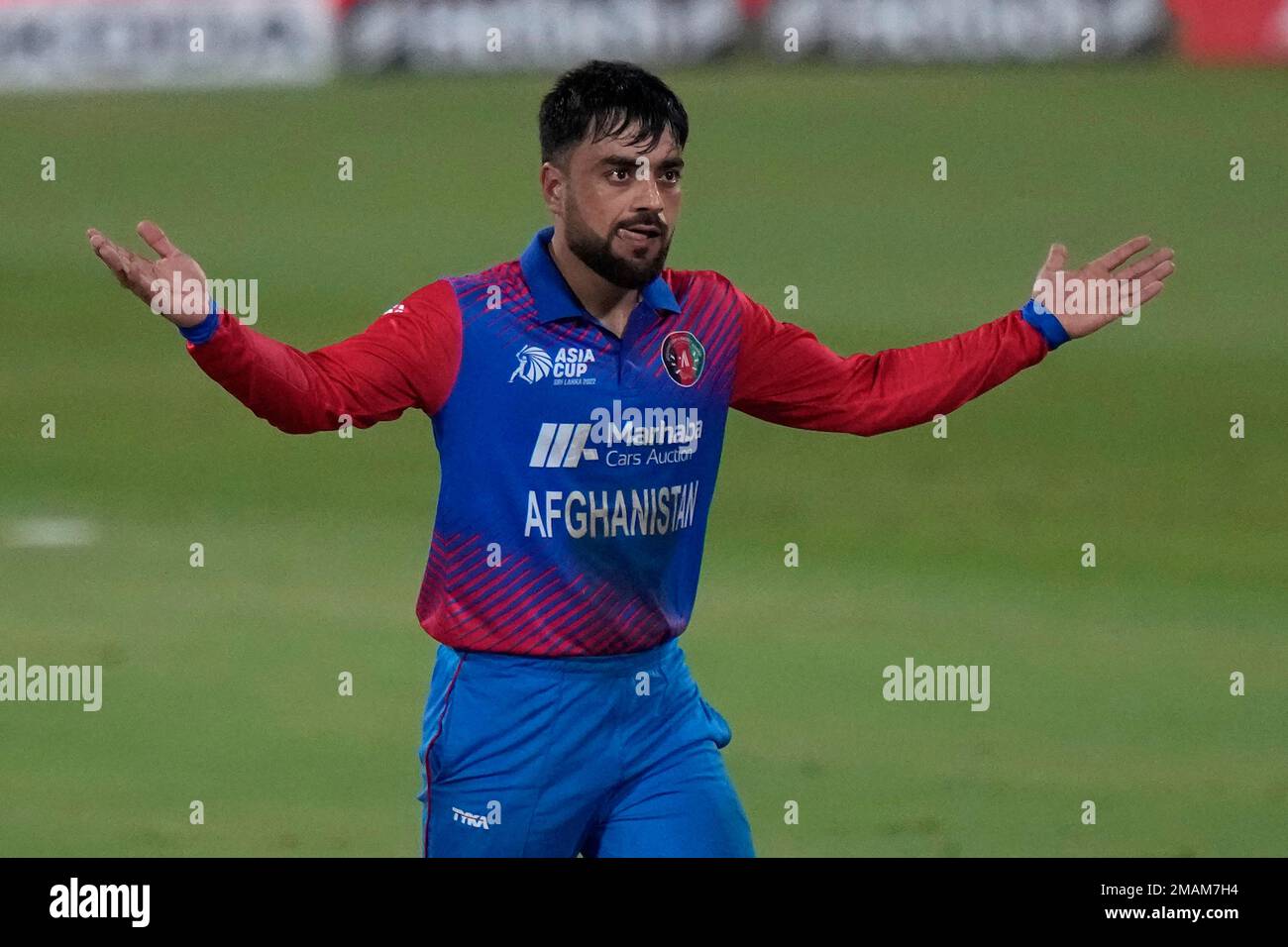 Afghanistan's Rashid Khan celebrates the dismissal of Pakistan's Shadab Khan during the T20 cricket match of Asia Cup between Pakistan and Afghanistan, in Sharjah, United Arab Emirates, Wednesday, Sept. 7, 2022. (AP Photo/Anjum Naveed) Stockfoto