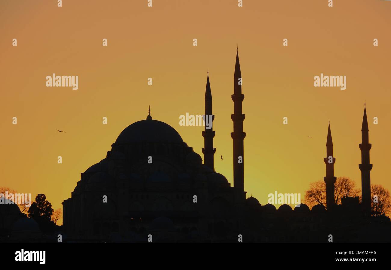 Silhouette der Süleymaniye Moschee in Istanbul Stockfoto