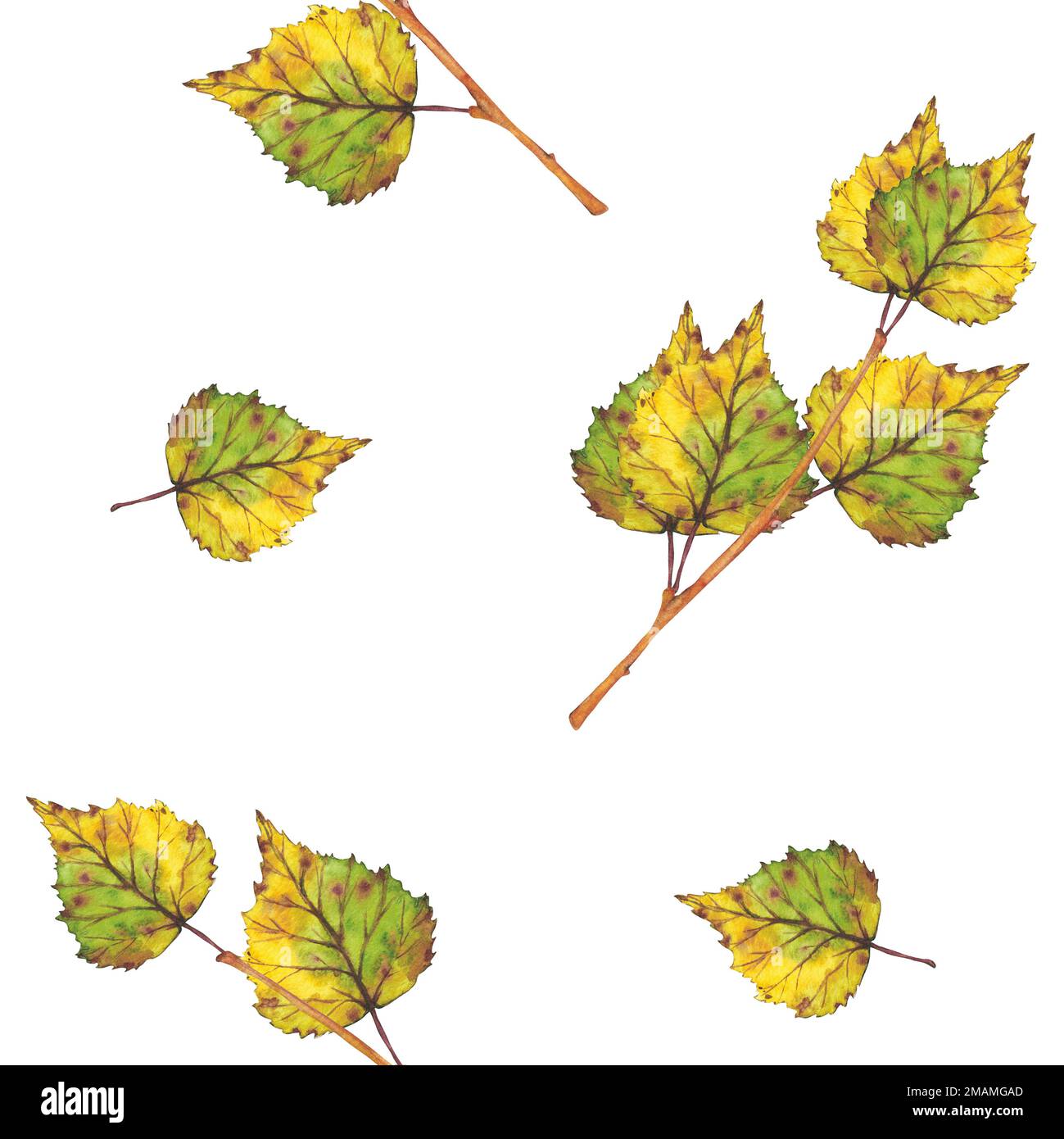 Nahtloses Muster. Zweig mit gelben Herbstblättern. Aquarelldarstellung. Clip Art Blattwerk in der Botanik. Herbstbild für Grußkarten, Hochzeit Stockfoto