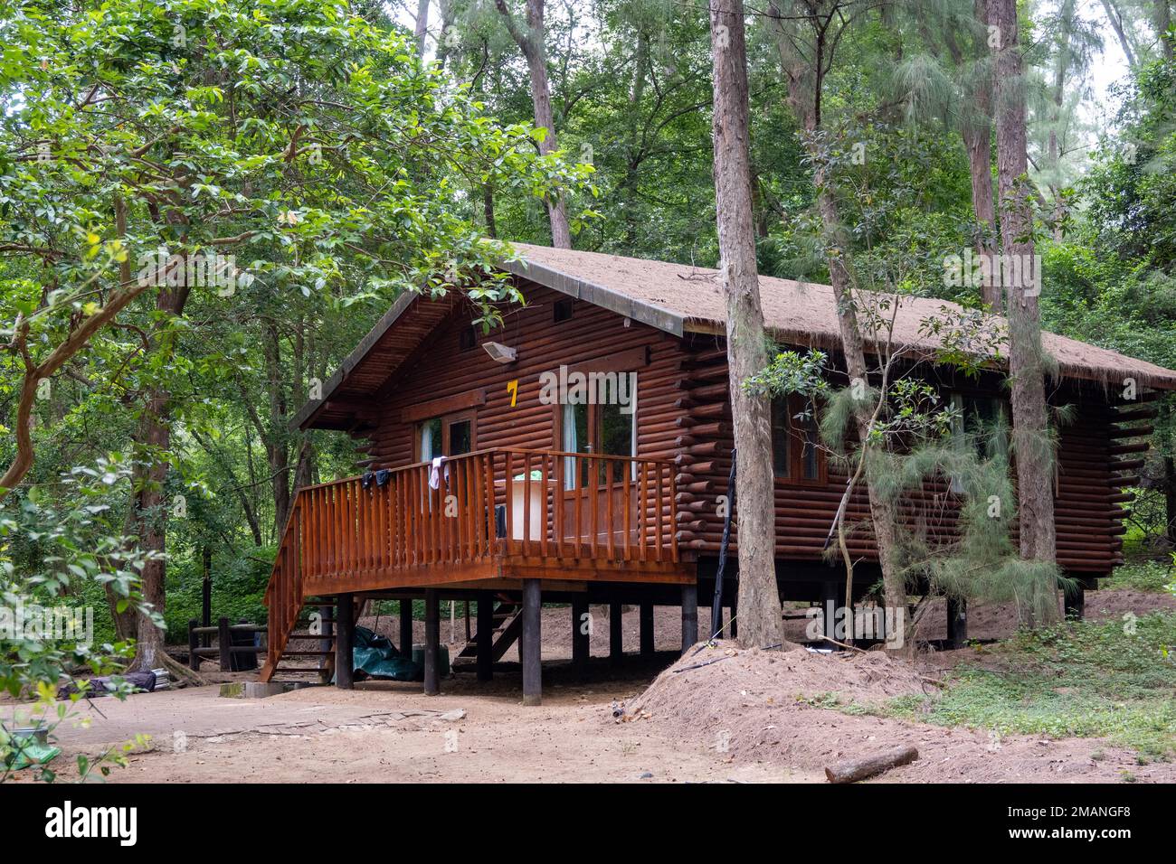 Eine Blockhütte im Wald. KwaZulu Natal, Südafrika. Stockfoto
