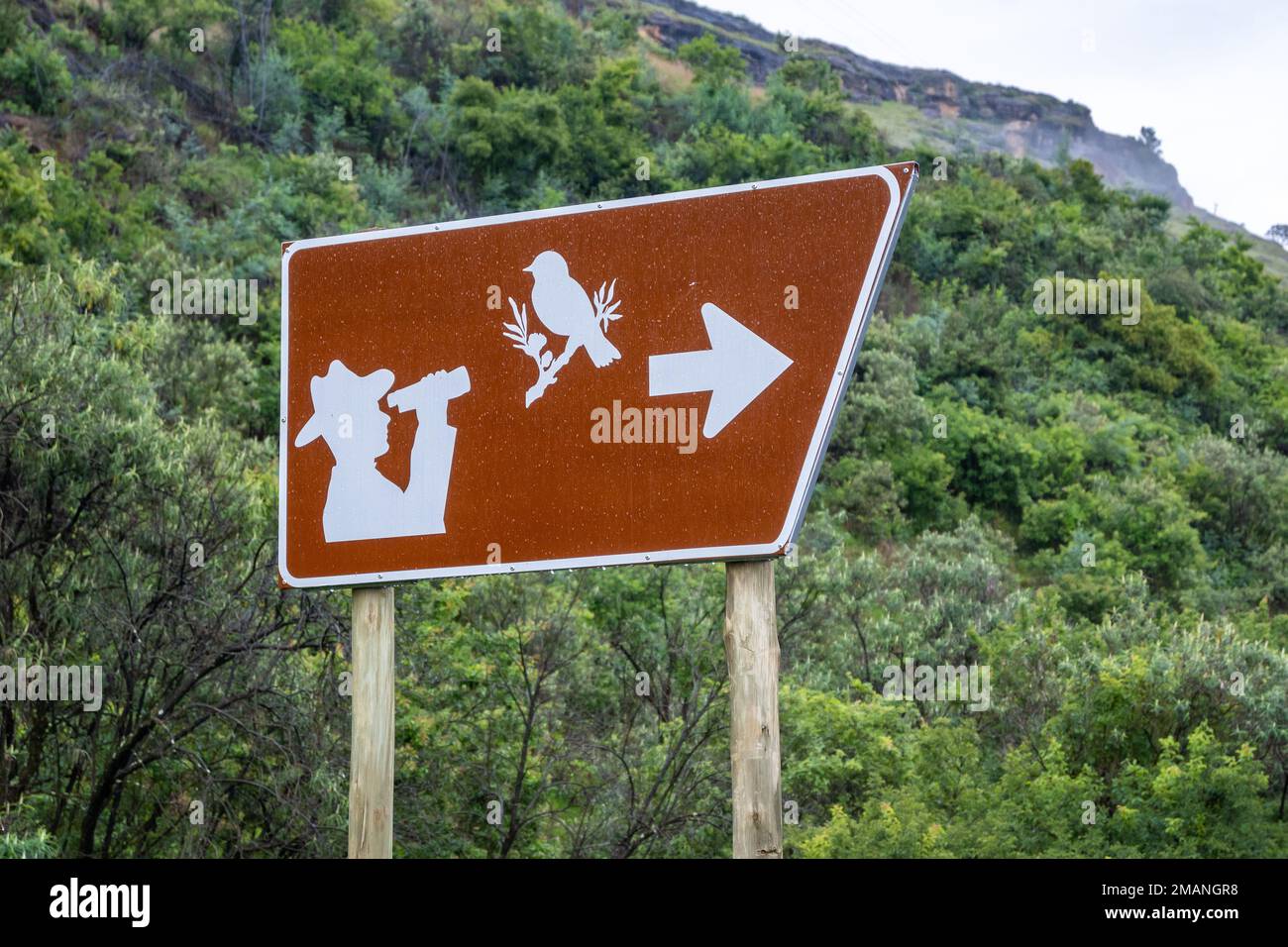 Straßenschild für Vogelbeobachtung. Drakensberg Mountains, KwaZulu Natal, Südafrika. Stockfoto