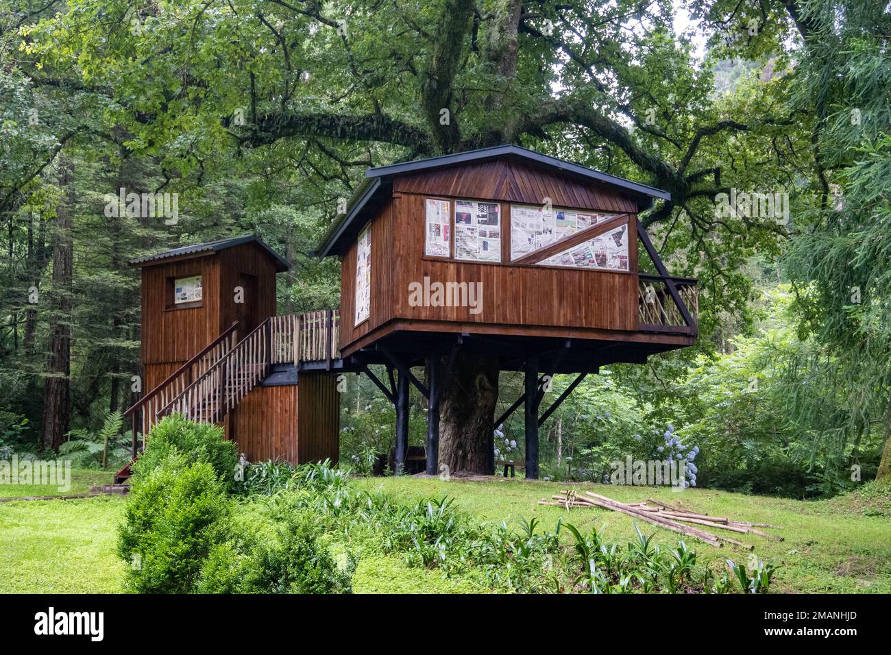 Baumhaus im Benvie Garden, Pietermaritzburg, Südafrika. Stockfoto