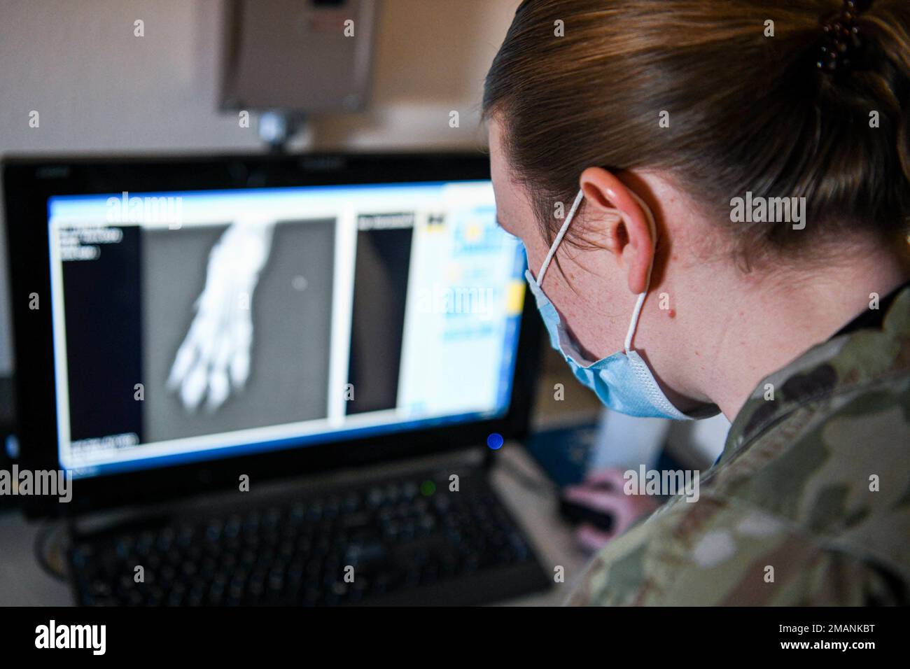 USA Army Captain Amber Norton, 5. Medical Group Veterinary Corps Officer, gibt militärisch arbeitenden Hunden vom Grand Forks Air Force Base, South Dakota, eine jährliche Wellness-Prüfung am 1. Juni 2022 auf Minot AFB, North Dakota. Jährliche Wellnessprüfungen und ständige Gesundheitsbeurteilungen stellen sicher, dass die MWDs auf ihren Dienst vorbereitet sind. Stockfoto