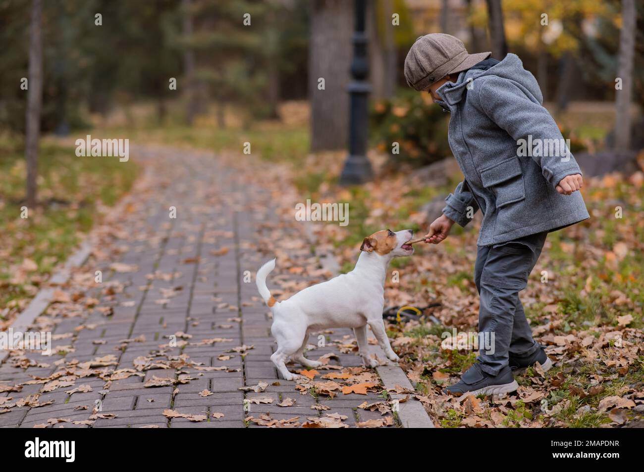Kaukasischer Junge spielt mit einem Hund für einen Spaziergang im Herbstpark. Stockfoto