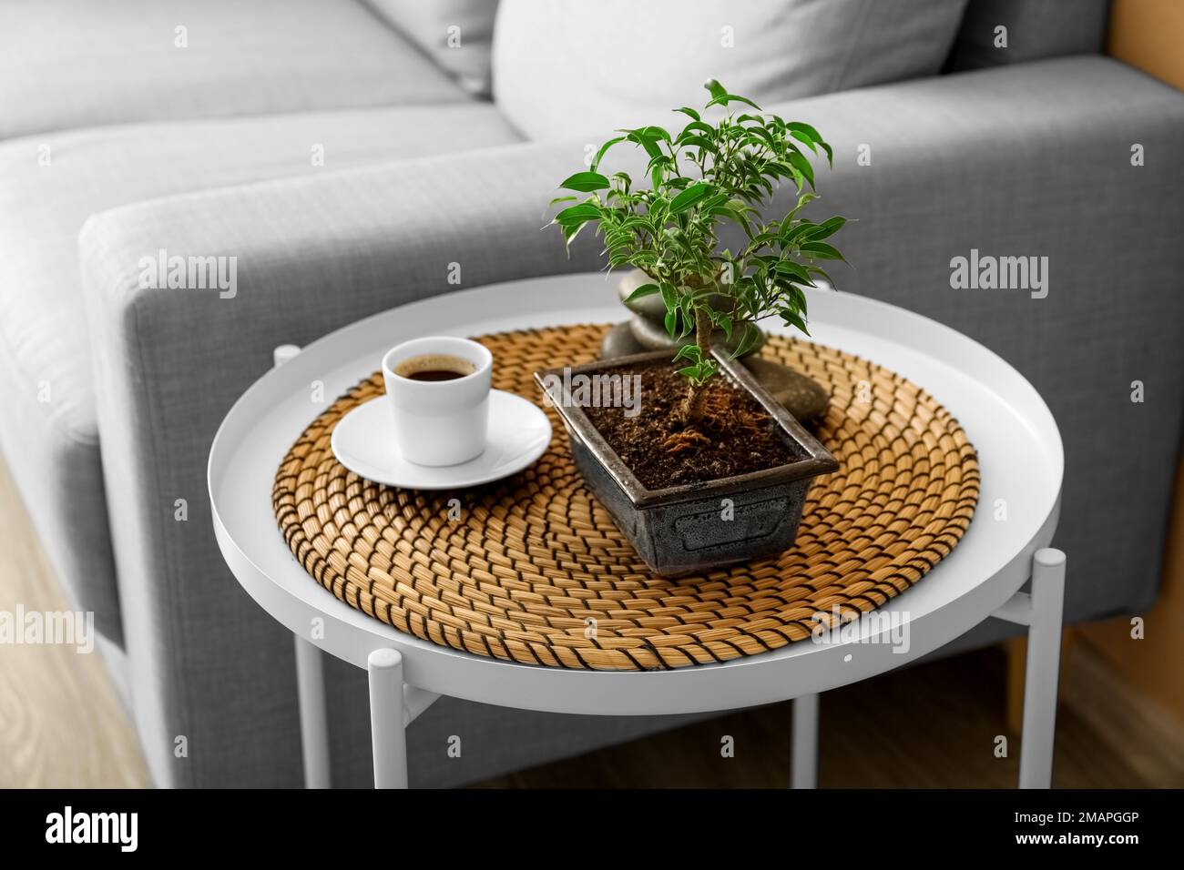 Bonsai-Baum, Tasse Kaffee und Spa-Steine auf dem Tisch im Wohnzimmer  Stockfotografie - Alamy