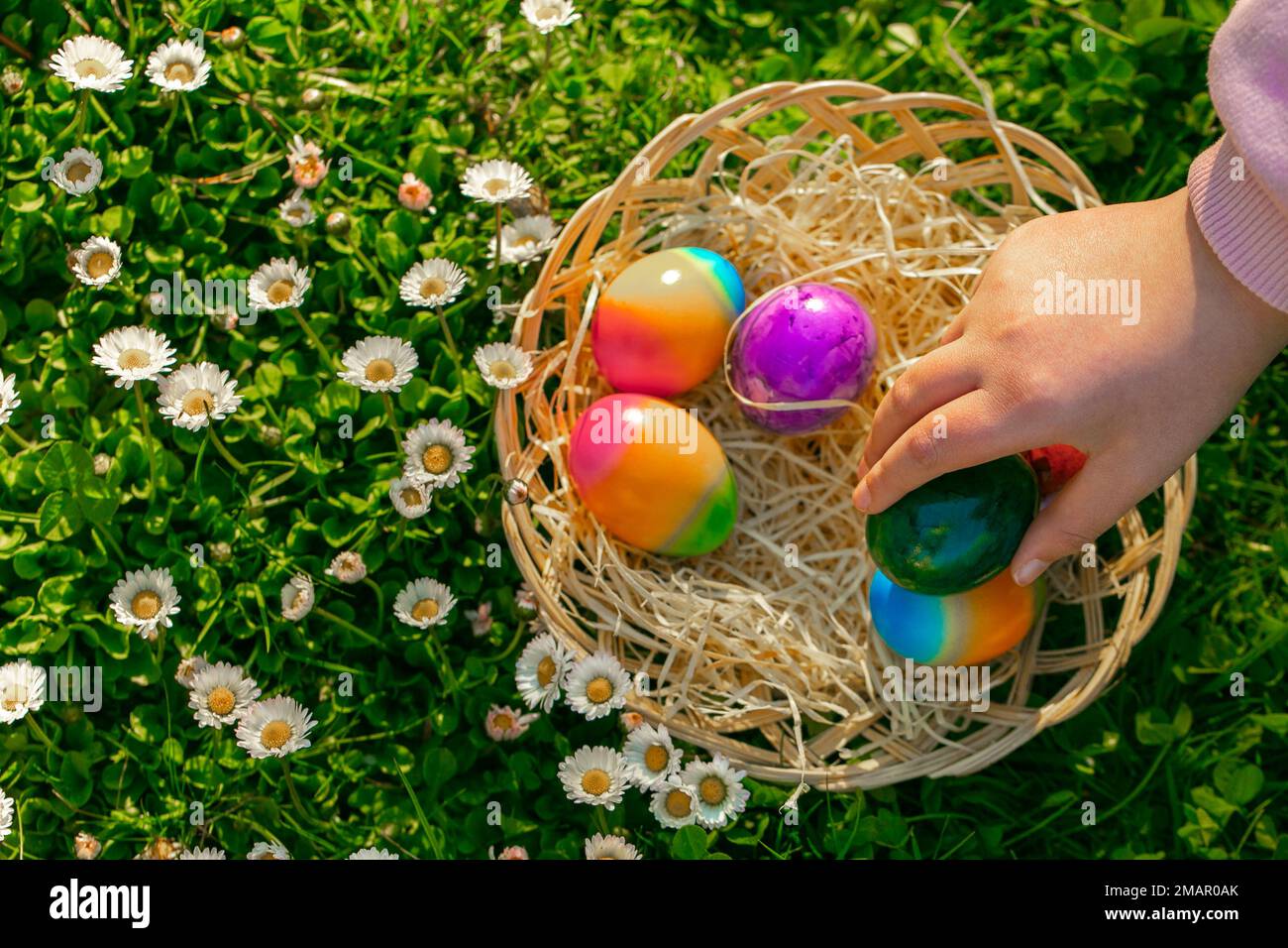 Osterei Hunt.child sammelt farbige Eier auf einer Frühlingswiese mit Gänseblümchen. Osterfeiertradition. Religiöser Frühlingsfeiertag. Stockfoto
