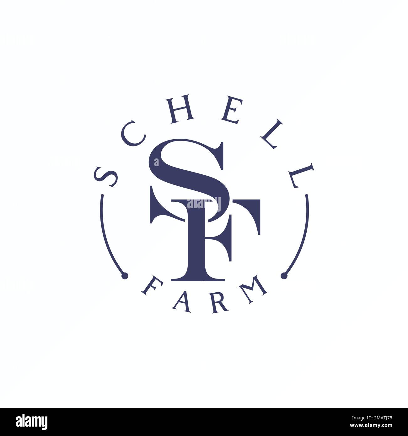 Serifenförmige Schriftart für Buchstaben oder Wörter mit zusammengesetztem Bildsymbol Logo-Design abstraktes Konzept Vektormaterial. Symbol für „Initial“ oder „Classic“ Stock Vektor