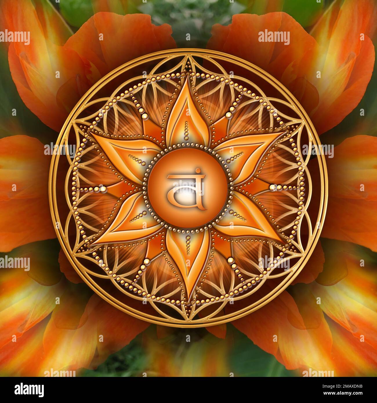 SAKRALCHAKRA (2. Chakra, Svadhisthana) zum mystischen Lebensblumen-Hintergrund. Stockfoto