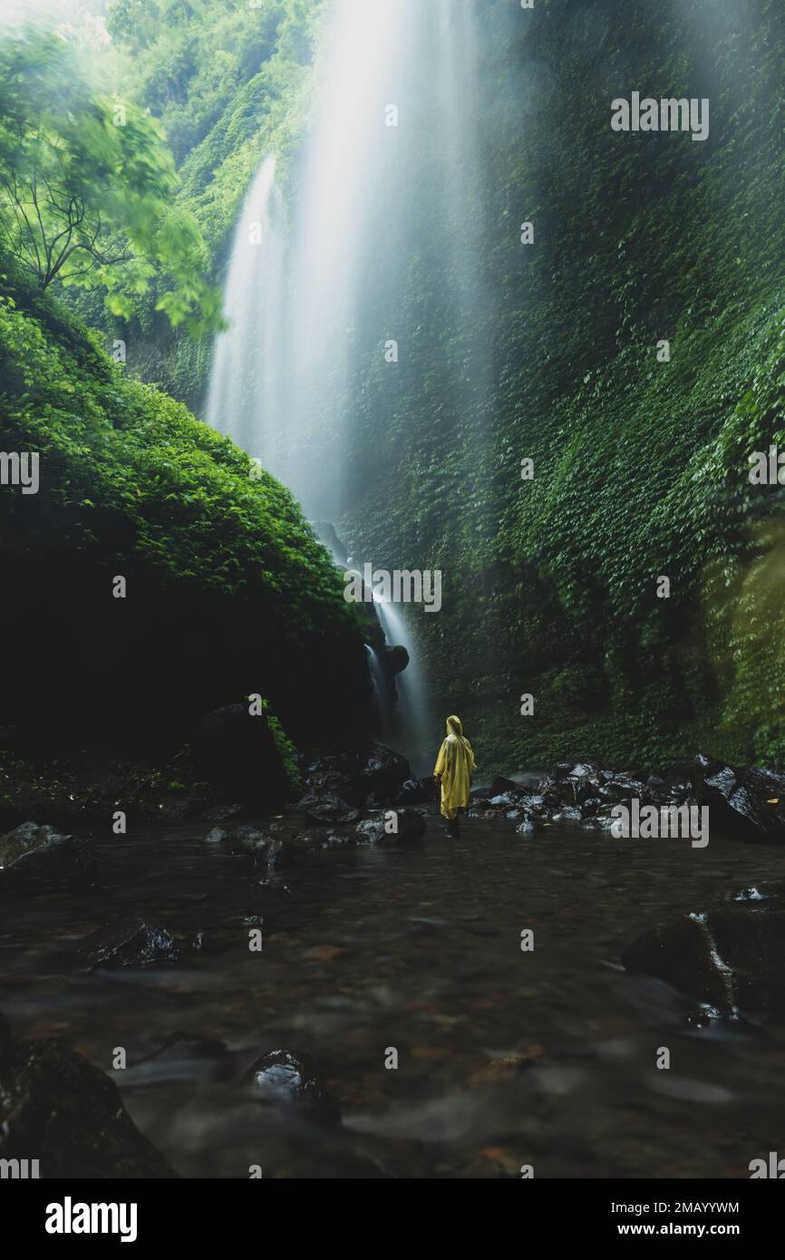 Ein Tourist mit gelbem Regenmantel bewundert die atemberaubenden Madikaripura-Wasserfälle. Stockfoto