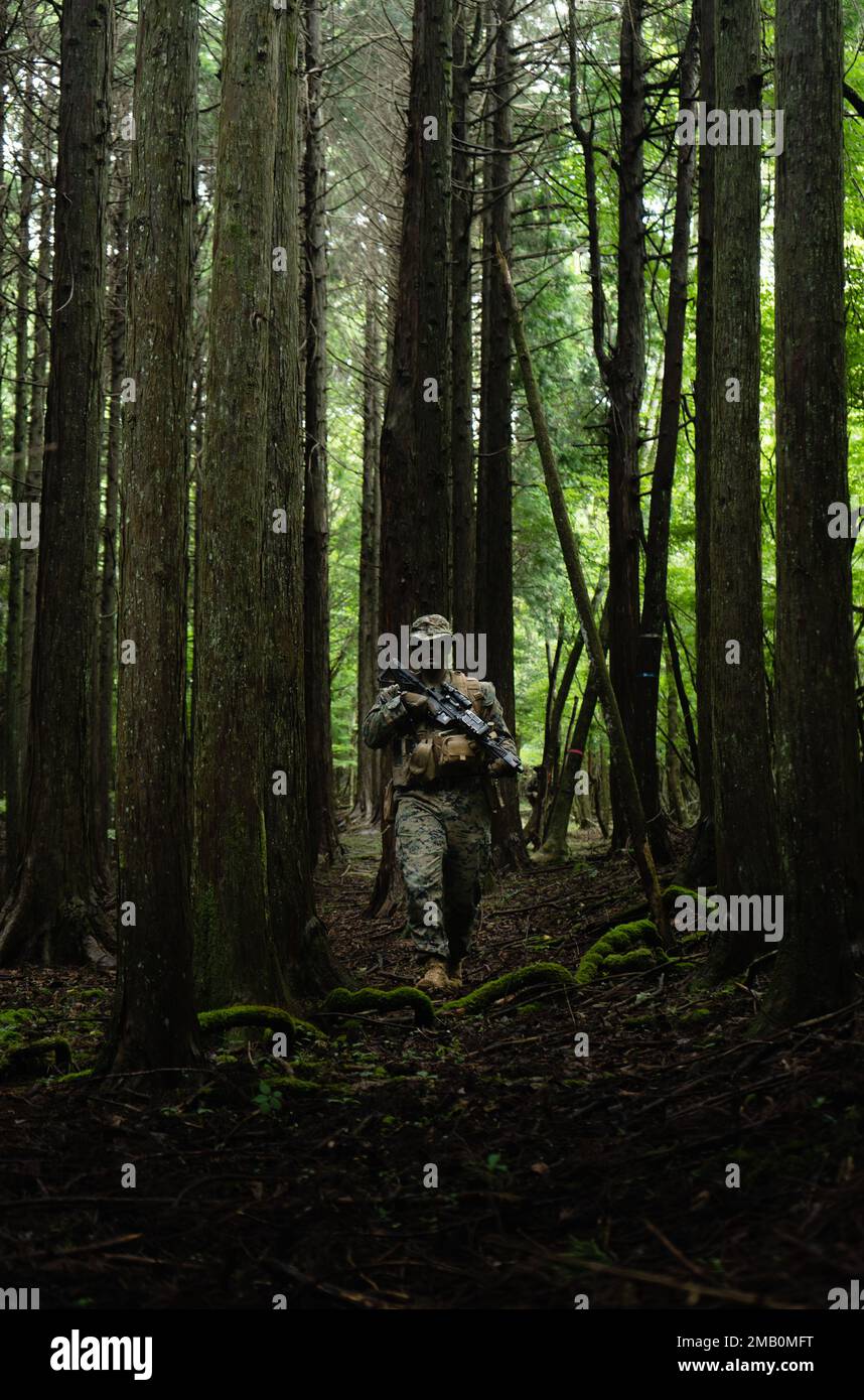 USA Marinekorps-Sergeant Luke Fritz, ein Schütze mit 3D. Bataillon, 2D Marines, leitet eine Patrouille während der Übung Shinka 22,1 im Combined Arms Training Center, Camp Fuji, Japan, 9. Juni 2022. Shinka ist ein Beispiel für ein gemeinsames Engagement für eine realistische Ausbildung, die tödliche, einsatzbereite und anpassungsfähige Kräfte hervorbringt, die in der Lage sind, dezentralisierte Operationen über ein breites Spektrum von Missionen hinweg durchzuführen. 3/2 wird im Indo-Pazifik unter 4. Marines, 3D. Division im Rahmen des Unit Deployment Program eingesetzt. Fritz stammt aus Cecil County, Maryland. Stockfoto