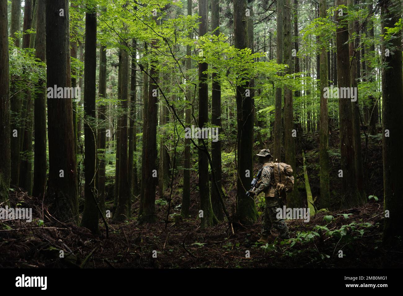 USA Marinekorps-Sergeant Luke Fritz, ein Schütze mit 3D. Bataillon, 2D Marines, leitet eine Patrouille während der Übung Shinka 22,1 im Combined Arms Training Center, Camp Fuji, Japan, 9. Juni 2022. Shinka ist ein Beispiel für ein gemeinsames Engagement für eine realistische Ausbildung, die tödliche, einsatzbereite und anpassungsfähige Kräfte hervorbringt, die in der Lage sind, dezentralisierte Operationen über ein breites Spektrum von Missionen hinweg durchzuführen. 3/2 wird im Indo-Pazifik unter 4. Marines, 3D. Division im Rahmen des Unit Deployment Program eingesetzt. Fritz stammt aus Cecil County, Maryland. Stockfoto