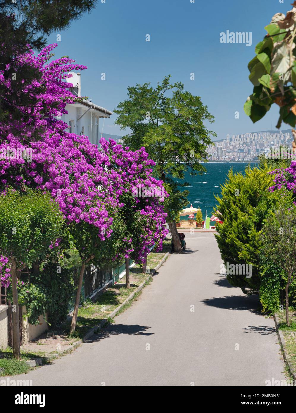 Ein Pfad mit wunderschönen blühenden Gärten und altem Haus und Blick auf das Marmarameer auf den Adalar-Inseln. Istanbul, Türkei. Stockfoto