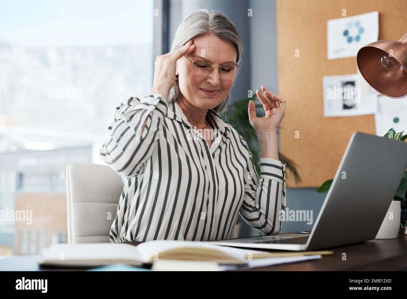 Sie haben es noch nie so wie ich gemacht. Eine reife Geschäftsfrau, die große Kopfschmerzen hat, während sie ihren Laptop in einem modernen Büro verwendet. Stockfoto