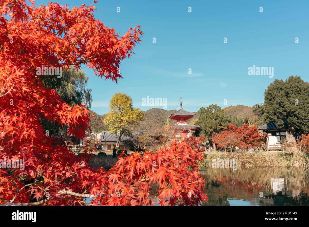 Daikaku-ji-Tempel und Osawa-Teich im Herbst in Kyoto, Japan Stockfoto