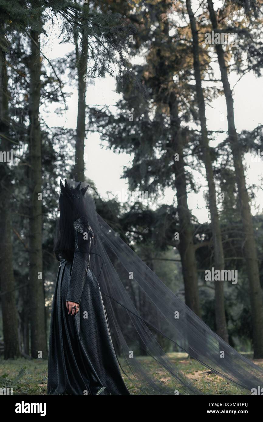 Gotische ästhetische Panoramafotografie Stockfoto