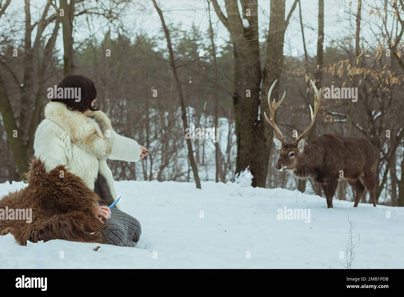 Verschneite Fantasie ästhetische landschaftliche Fotografie Stockfoto