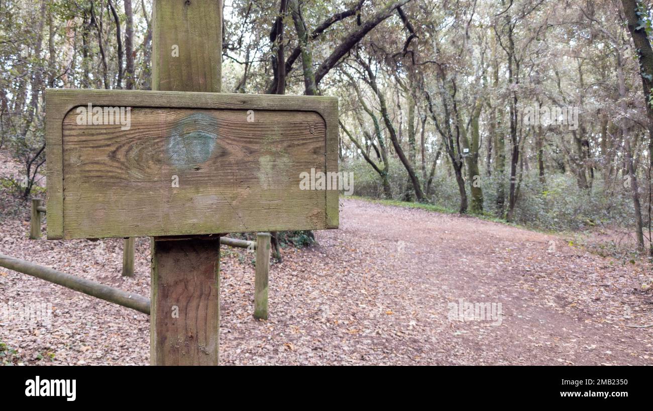 Fußweg mit hölzernen Schildern für Informationen Wanderweg im Naturwald Stockfoto