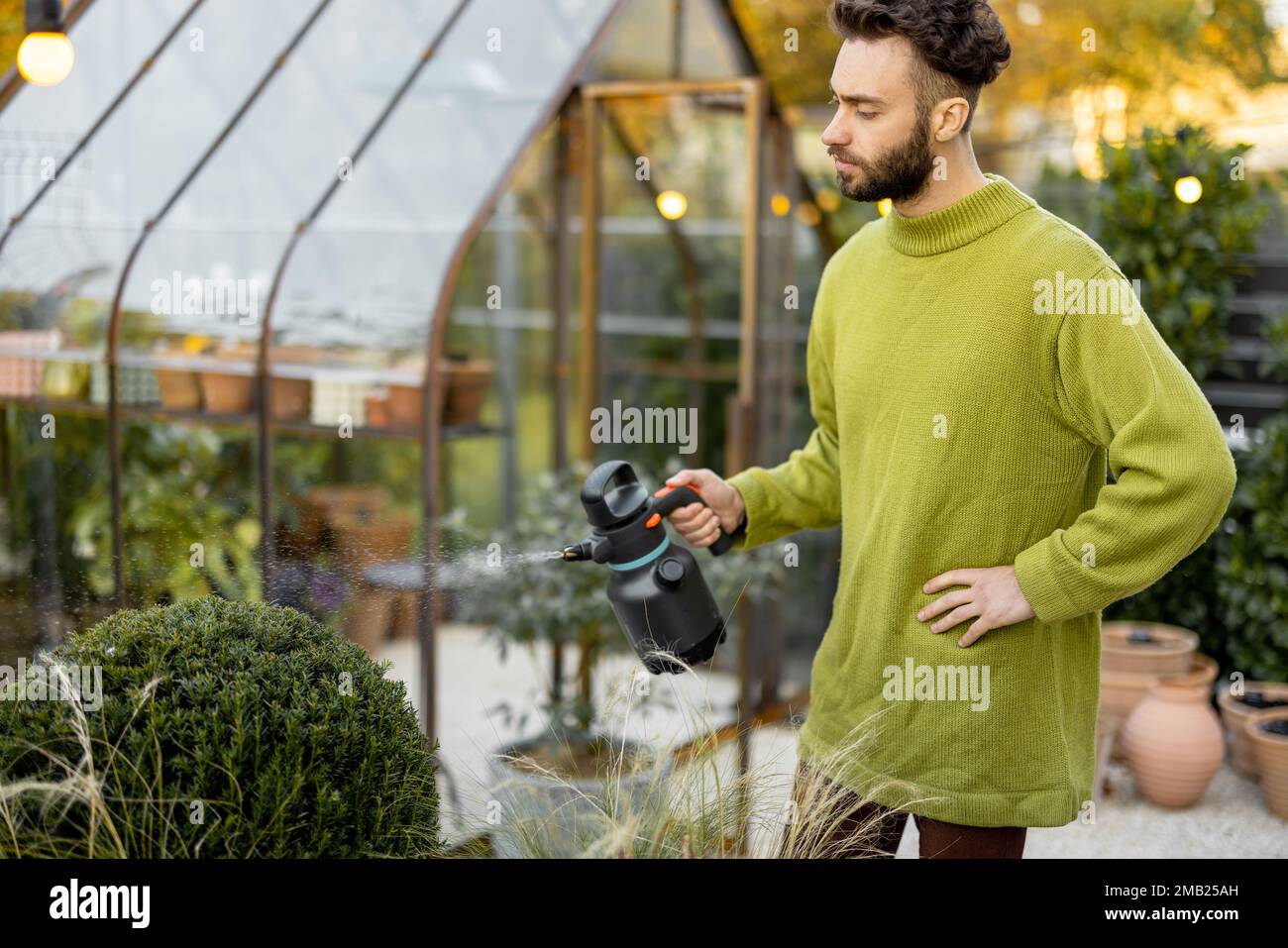 Guy schneidet einen runden Busch mit einer Schere Stockfoto